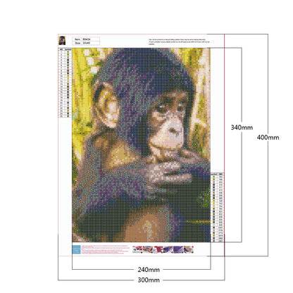 Chimpanzees 30*40CM(Canvas) Full Round Drill Diamond Painting