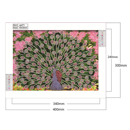 Peacock 40*30CM(Canvas) Special Shaped Drill Diamond Paiting