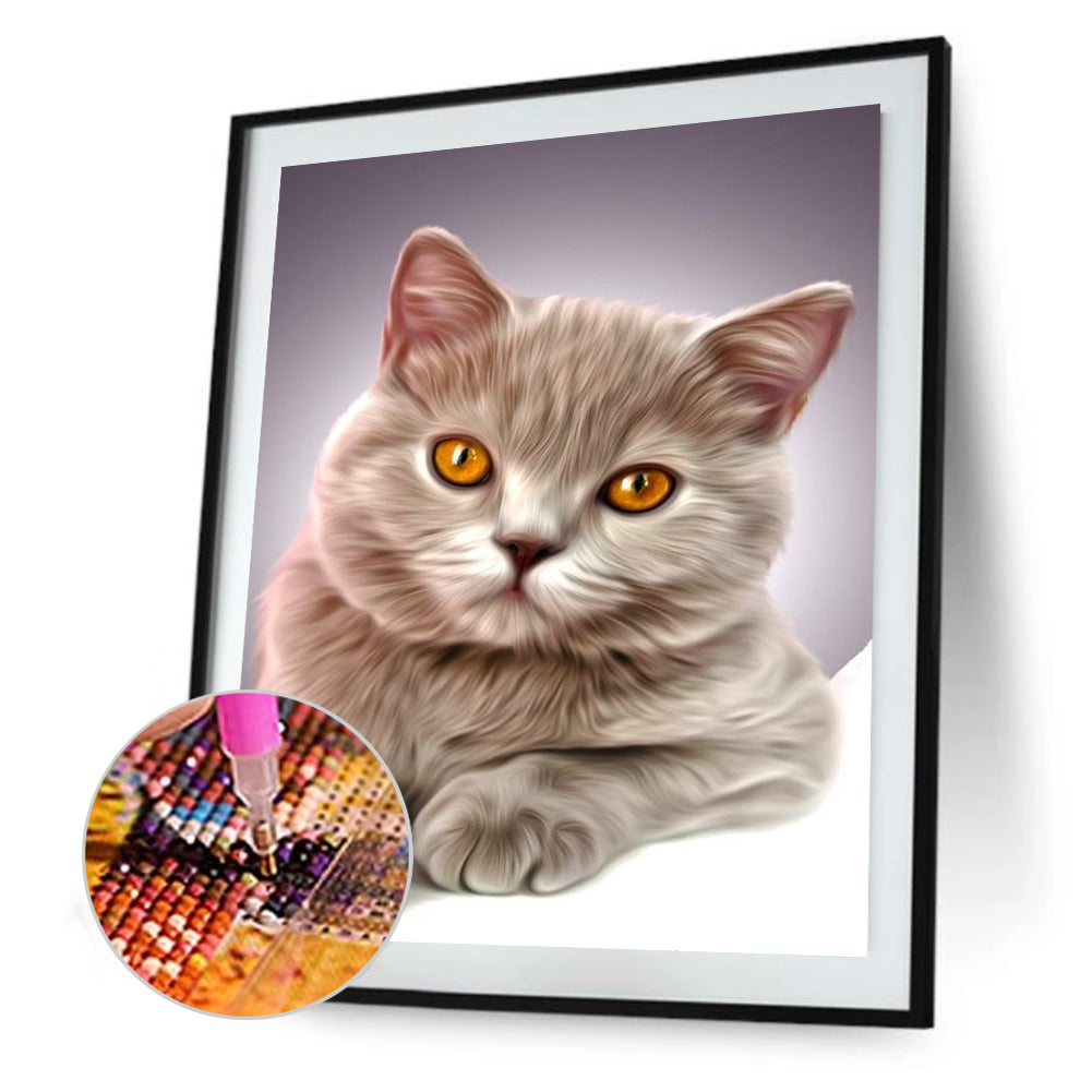 Cat - Full Round Drill Diamond Painting 30*40CM