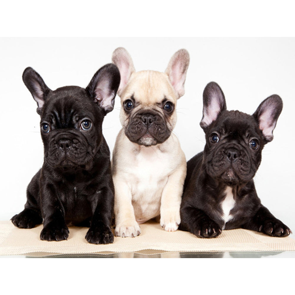 Dog - Full Round Drill Diamond Painting 40*30CM