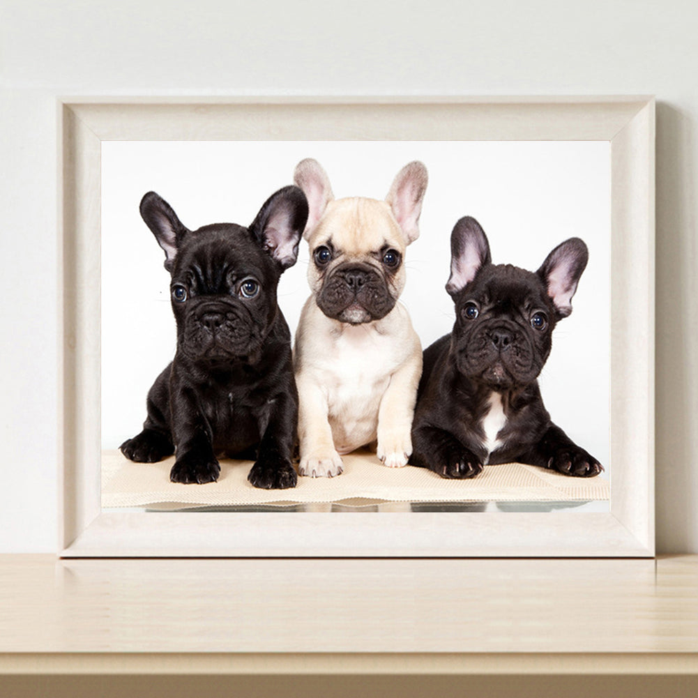 Dog - Full Round Drill Diamond Painting 40*30CM