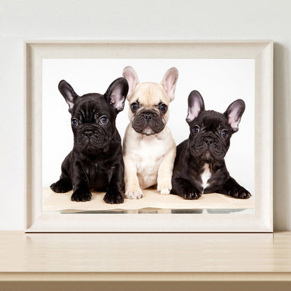 Dog - Full Round Drill Diamond Painting 40*30CM