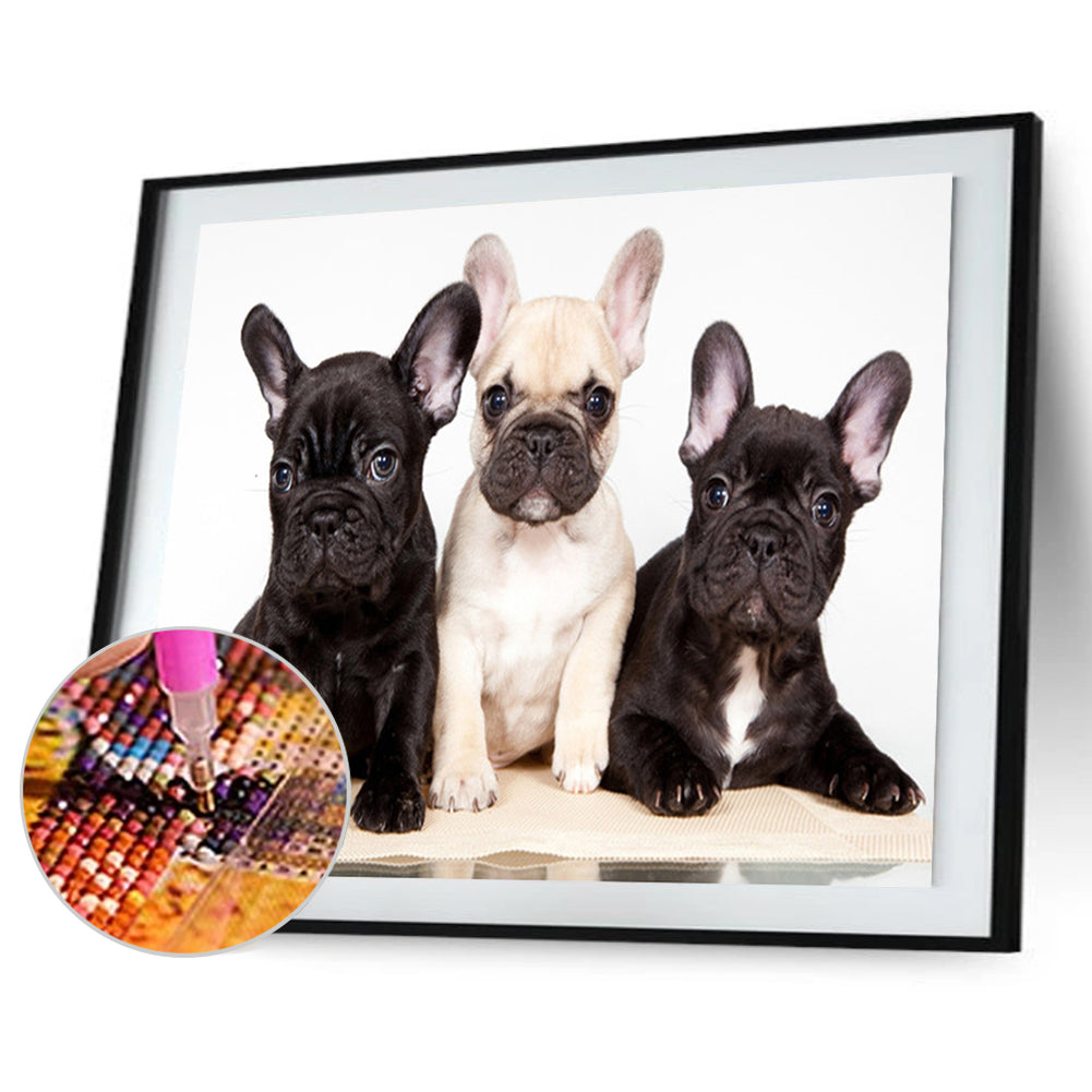 Dog - Full Round Drill Diamond Painting 40*30CM