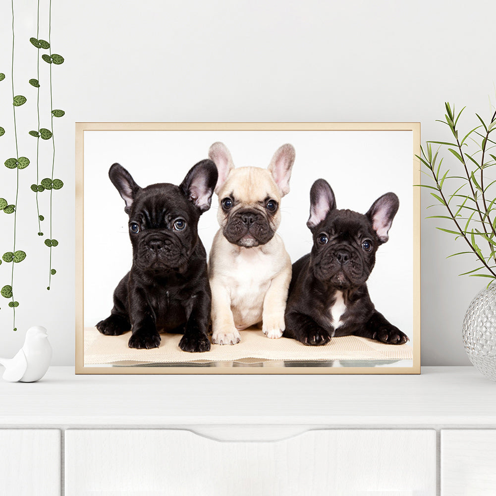 Dog - Full Round Drill Diamond Painting 40*30CM