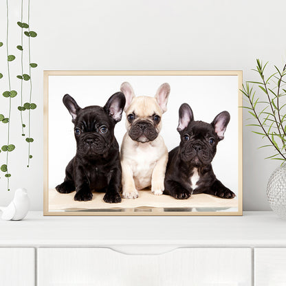 Dog - Full Round Drill Diamond Painting 40*30CM