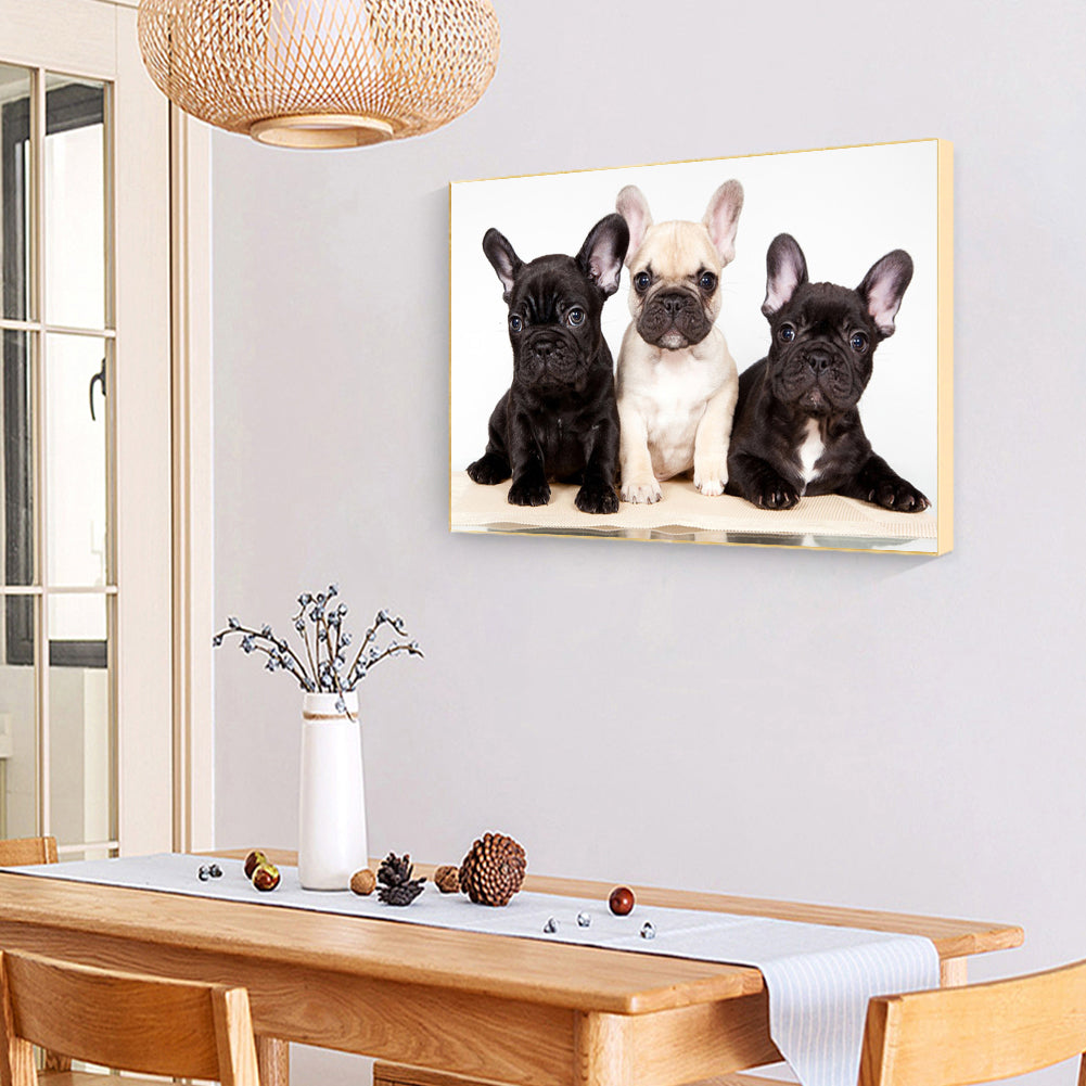 Dog - Full Round Drill Diamond Painting 40*30CM
