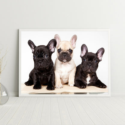 Dog - Full Round Drill Diamond Painting 40*30CM