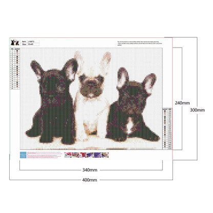 Dog - Full Round Drill Diamond Painting 40*30CM