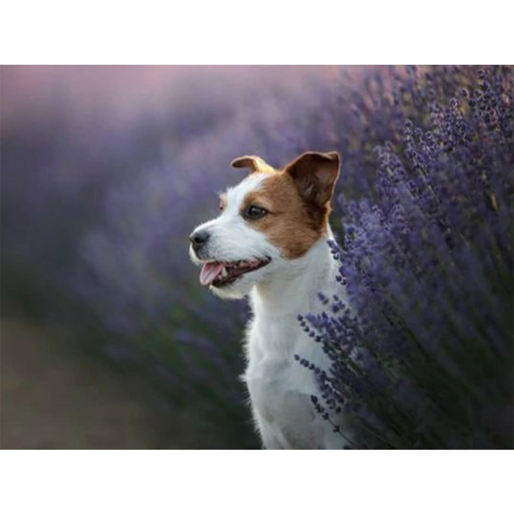 Puppy - Full Round Drill Diamond Painting 40*30CM