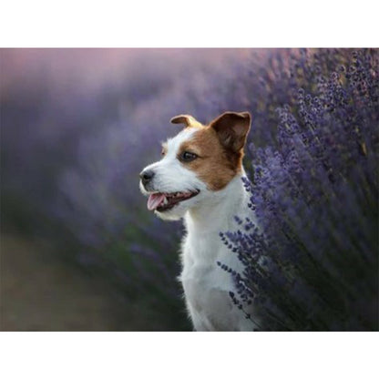 Puppy - Full Round Drill Diamond Painting 40*30CM