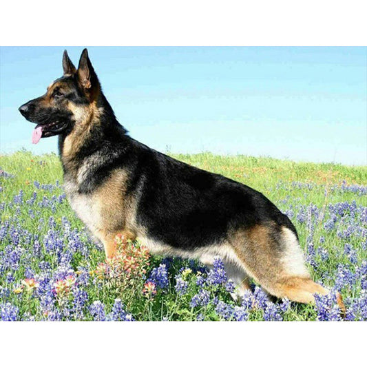 German Shepherd - Full Round Drill Diamond Painting 40*30CM
