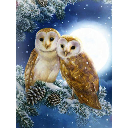 Owl - Full Round Drill Diamond Painting 40*50CM