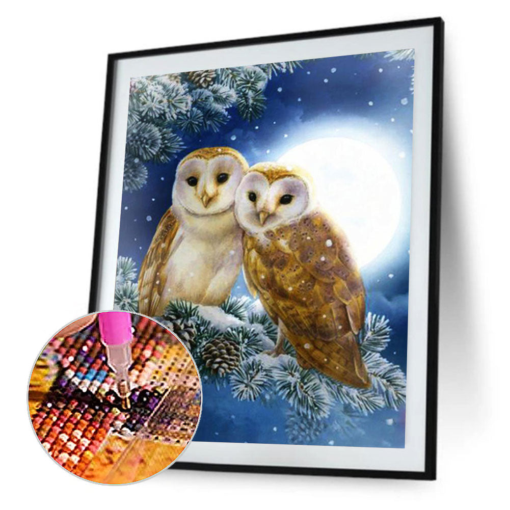 Owl - Full Round Drill Diamond Painting 40*50CM