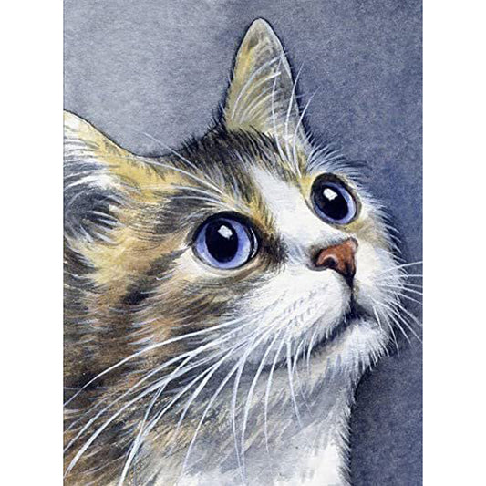 Cat - Full Round Drill Diamond Painting 30*40CM