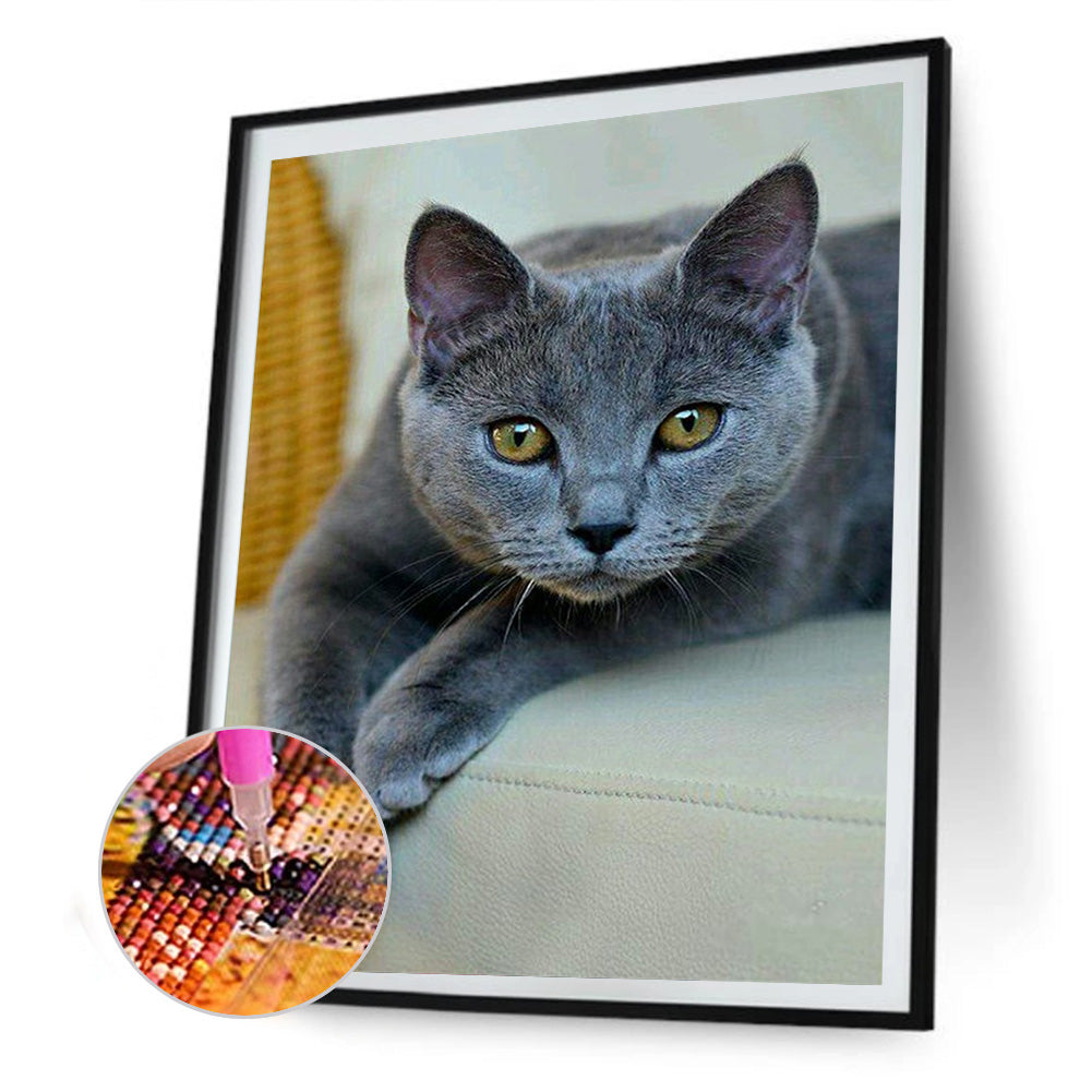 Cat - Full Round Drill Diamond Painting 30*40CM