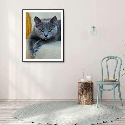 Cat - Full Round Drill Diamond Painting 30*40CM