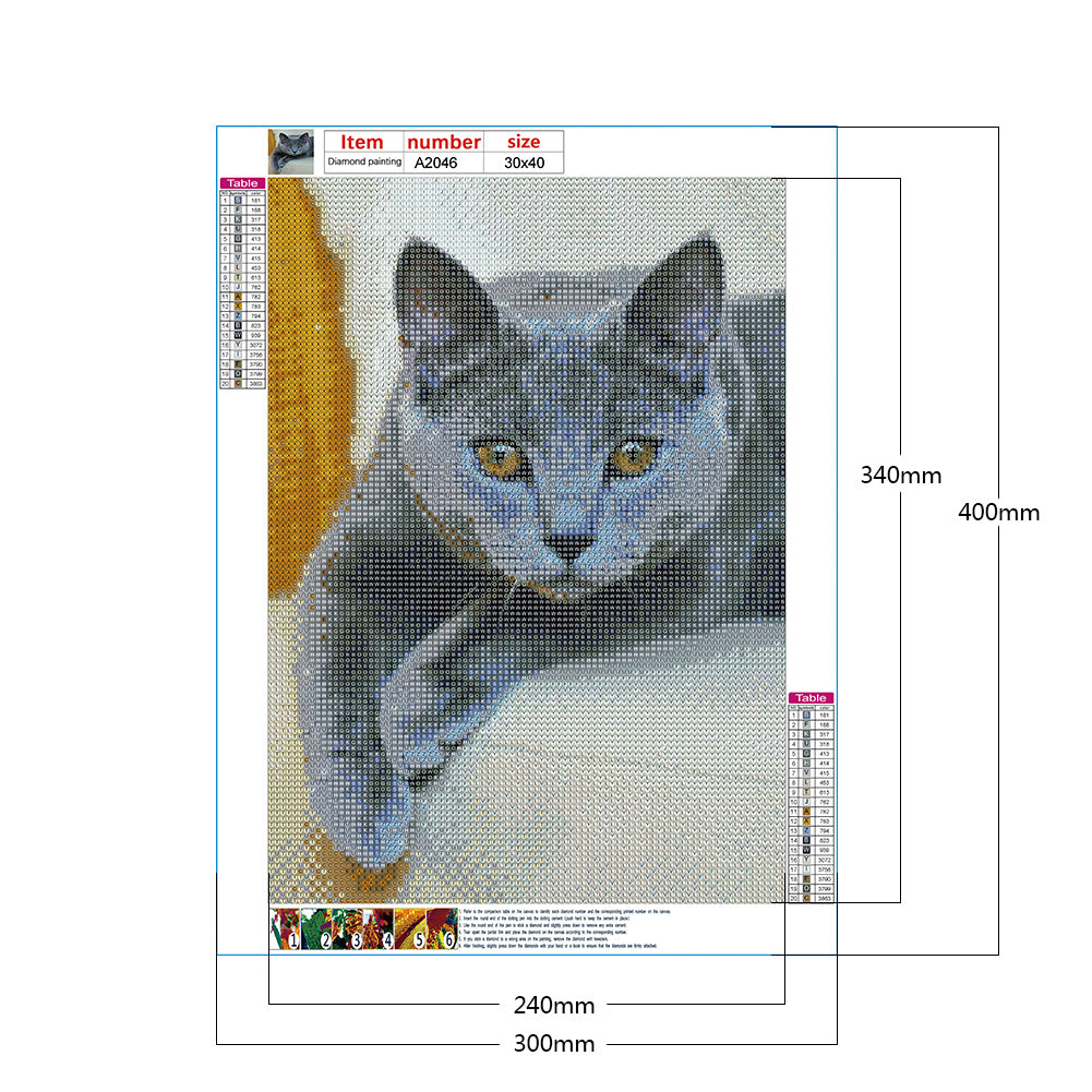 Cat - Full Round Drill Diamond Painting 30*40CM