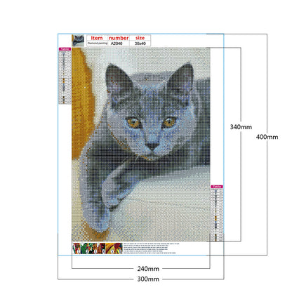 Cat - Full Round Drill Diamond Painting 30*40CM