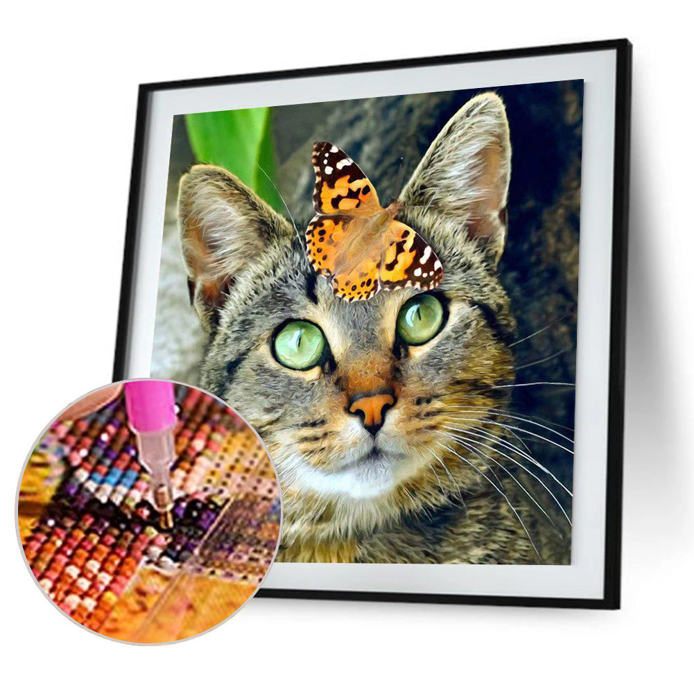 Cat - Full Round Drill Diamond Painting 30*30CM