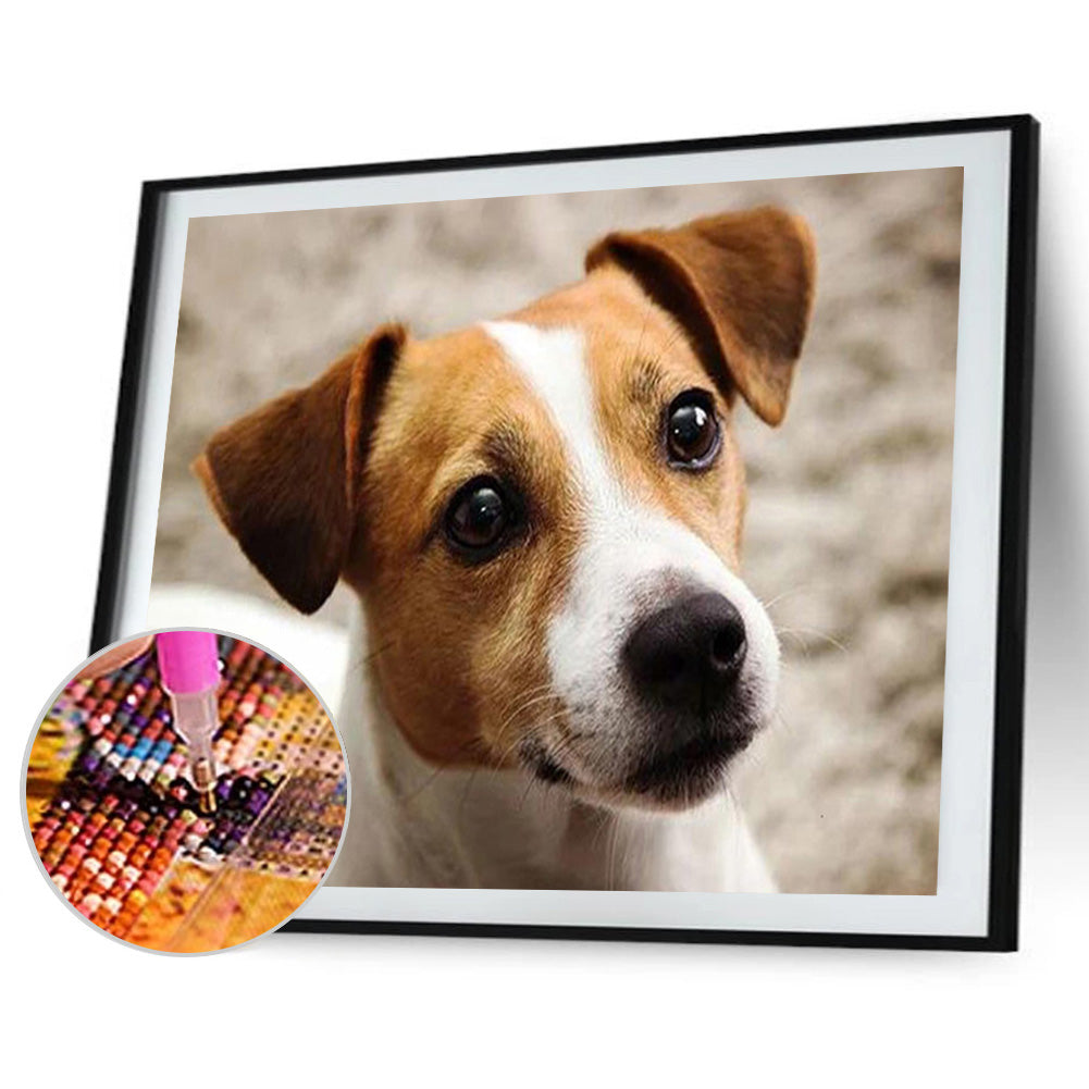 Dog - Full Round Drill Diamond Painting 40*30CM