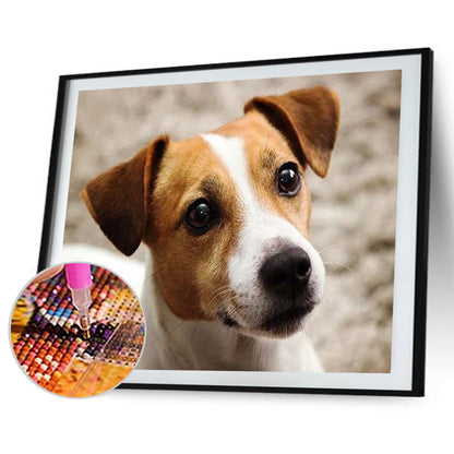 Dog - Full Round Drill Diamond Painting 40*30CM