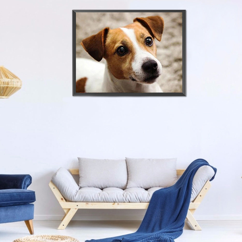 Dog - Full Round Drill Diamond Painting 40*30CM