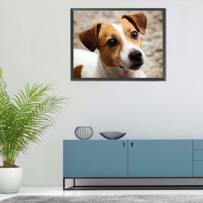Dog - Full Round Drill Diamond Painting 40*30CM