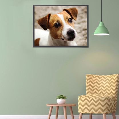Dog - Full Round Drill Diamond Painting 40*30CM
