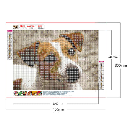 Dog - Full Round Drill Diamond Painting 40*30CM
