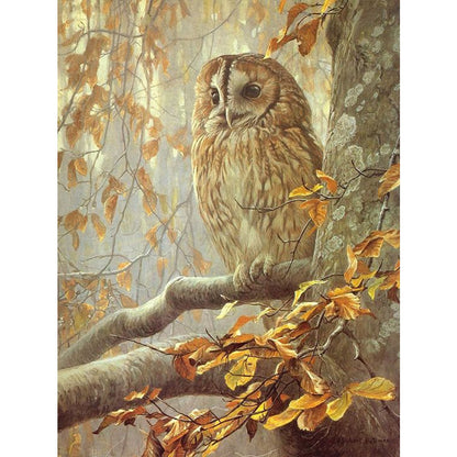 Owl - Full Round Drill Diamond Painting 30*40CM