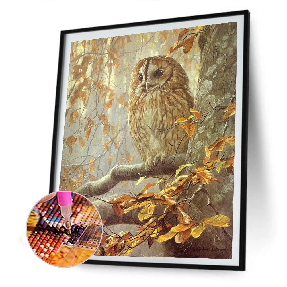 Owl - Full Round Drill Diamond Painting 30*40CM