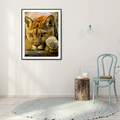 Leopard - Full Round Drill Diamond Painting 30*40CM