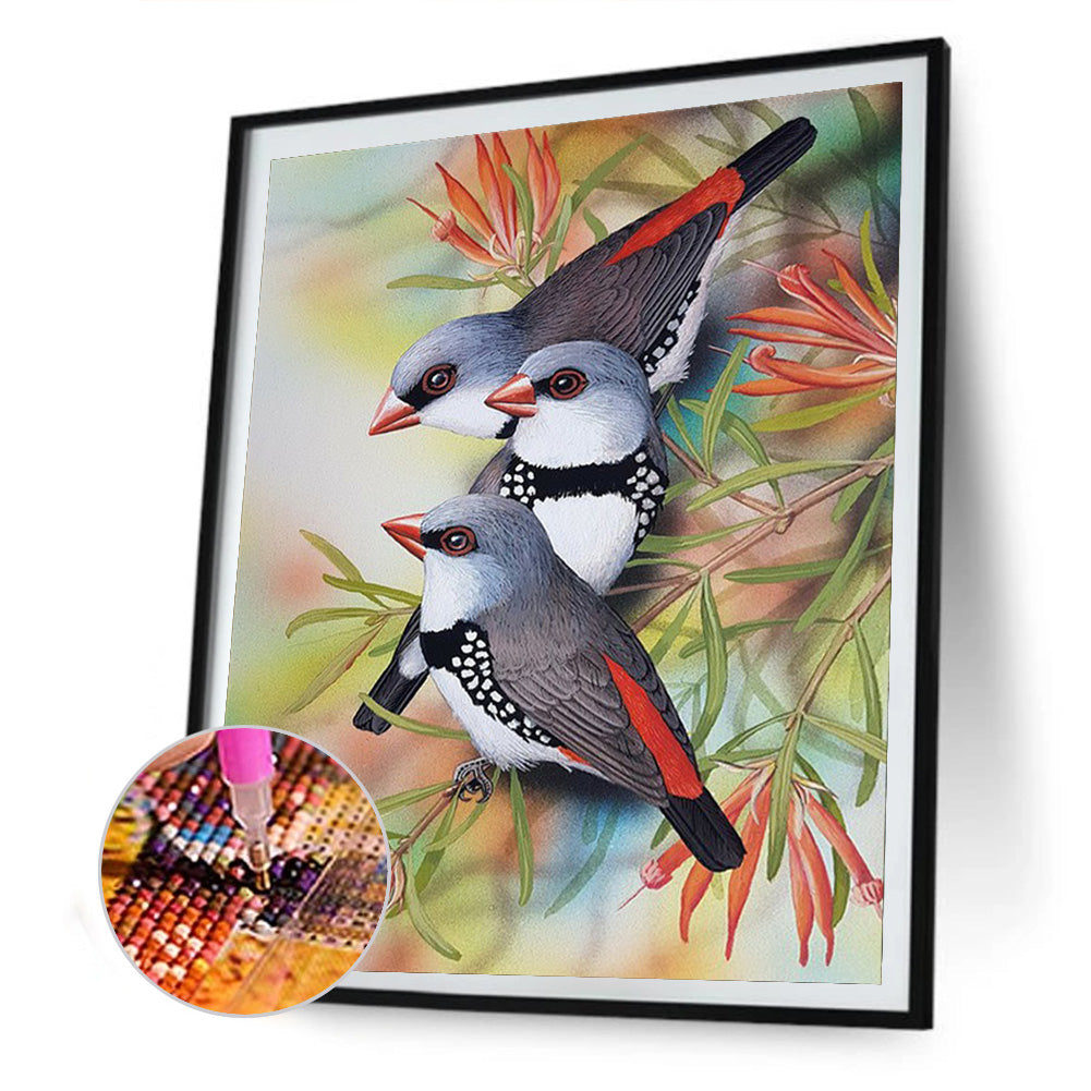 Bird - Full Round Drill Diamond Painting 30*40CM