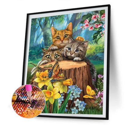 Cat - Full Round Drill Diamond Painting 30*40CM