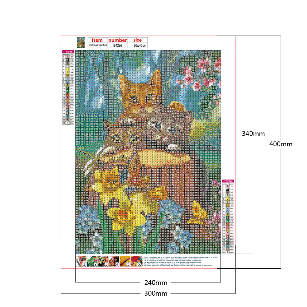 Cat - Full Round Drill Diamond Painting 30*40CM