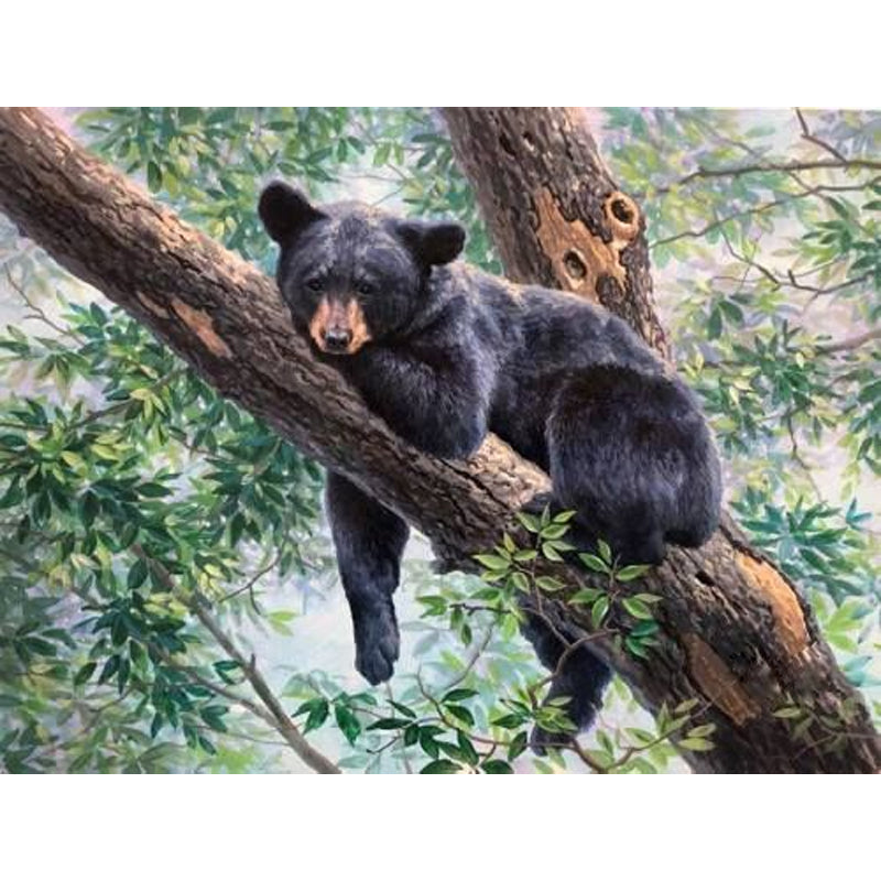 Black Bear - Full Round Drill Diamond Painting 40*30CM