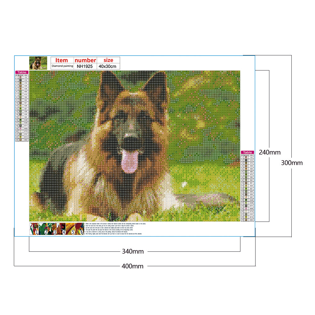 Wolf - Full Round Drill Diamond Painting 40*30CM