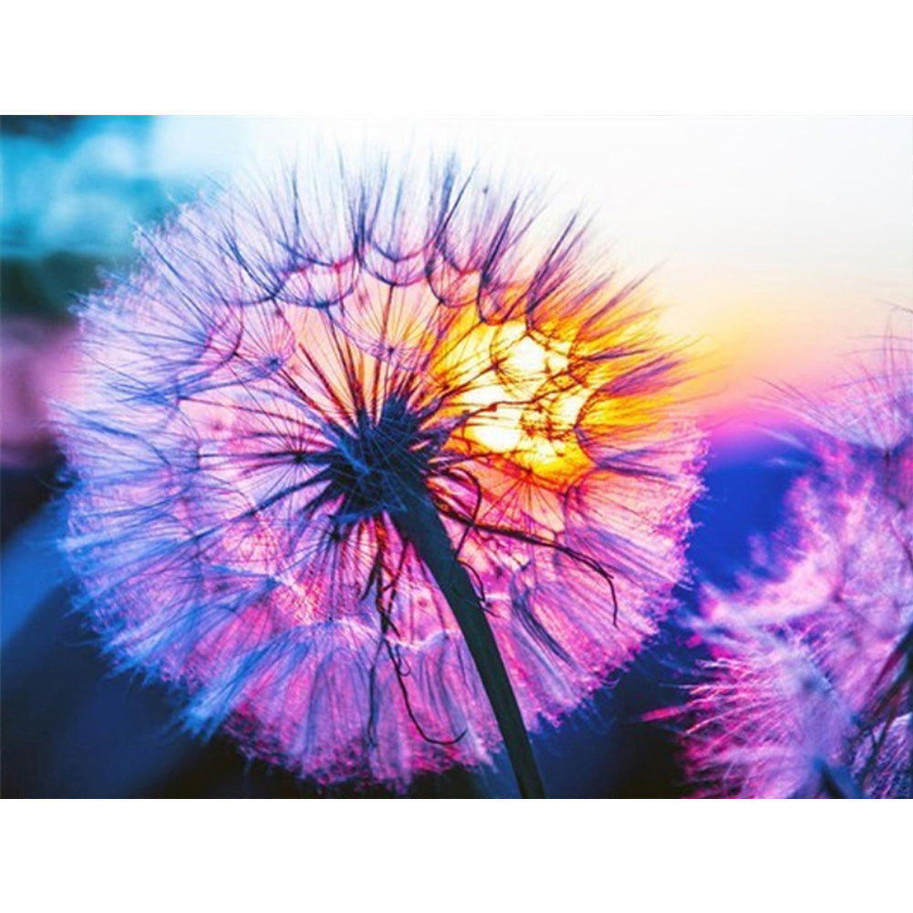 Sunset Dandelion - Full Round Drill Diamond Painting 40*30CM