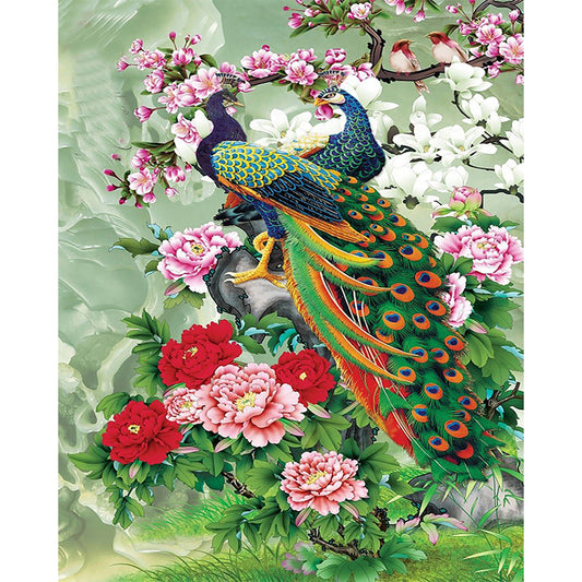 Peacock - Full Round Drill Diamond Painting 50*60CM