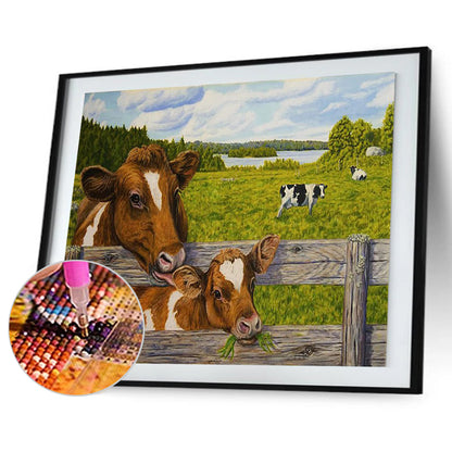 Cattle - Full Round Drill Diamond Painting 40*30CM