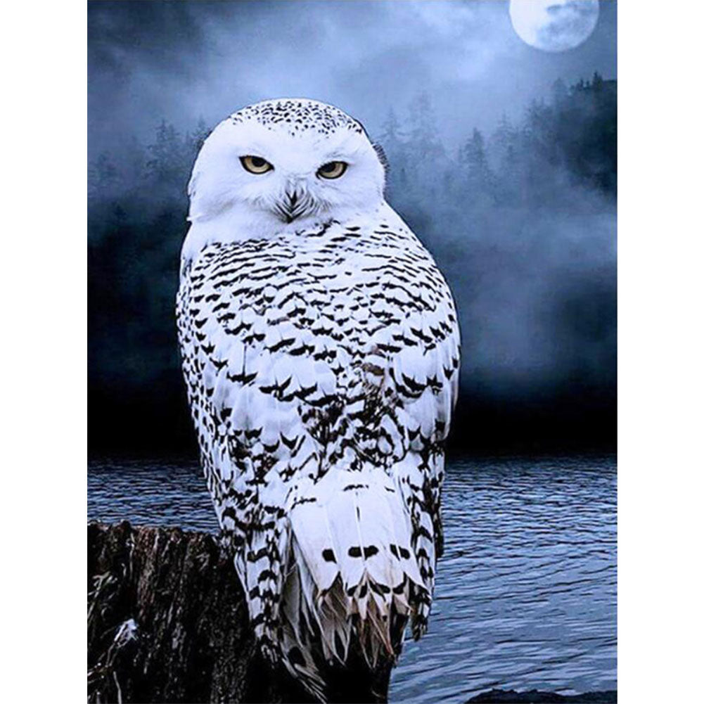 Owl - Full Round Drill Diamond Painting 50*60CM