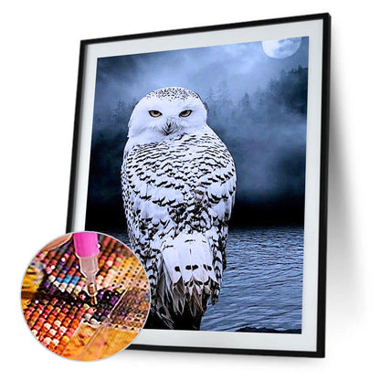 Owl - Full Round Drill Diamond Painting 50*60CM