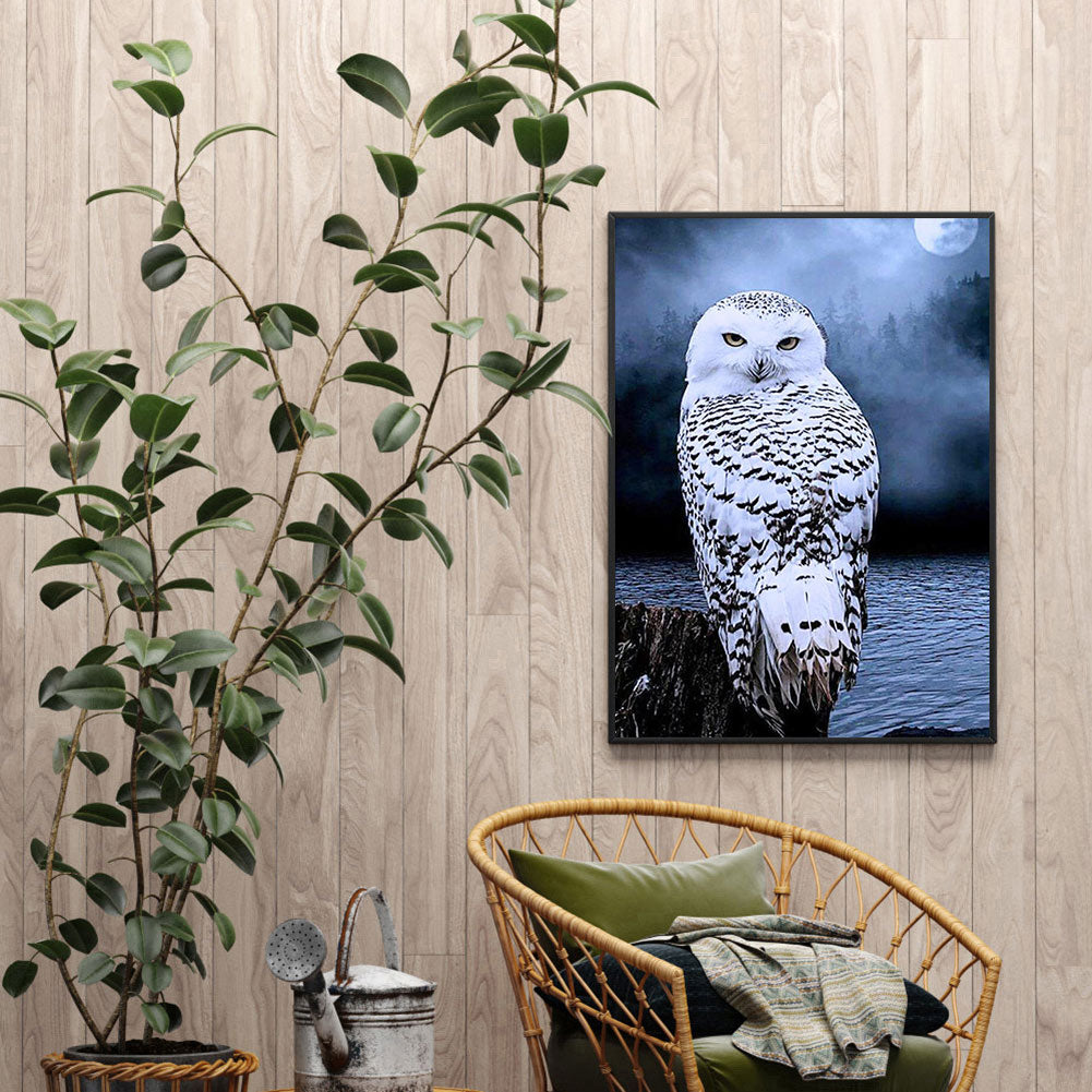 Owl - Full Round Drill Diamond Painting 50*60CM