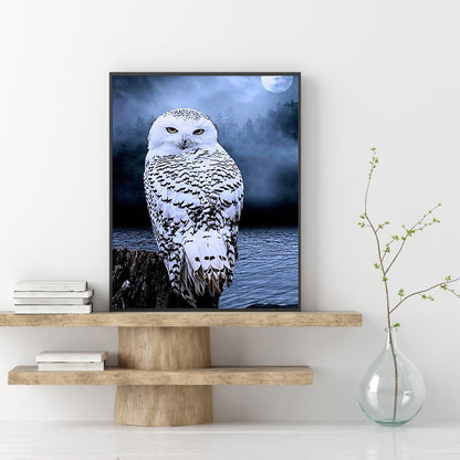 Owl - Full Round Drill Diamond Painting 50*60CM