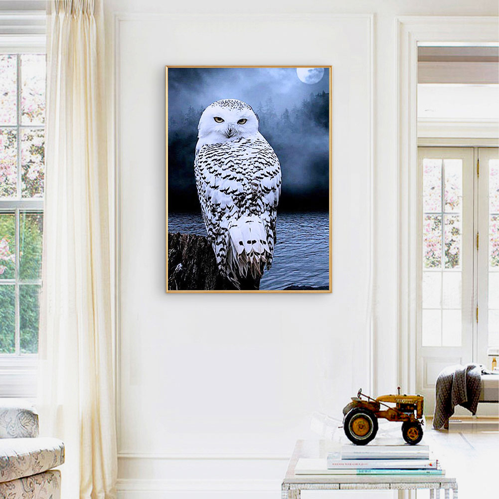 Owl - Full Round Drill Diamond Painting 50*60CM