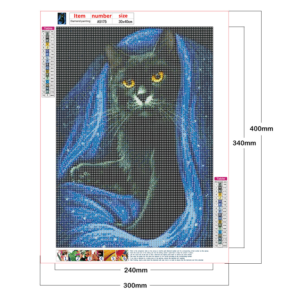 Black Cat - Full Round Drill Diamond Painting 30*40CM