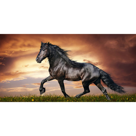 Horse Galloping - Full Square Drill Diamond Painting 80*40CM