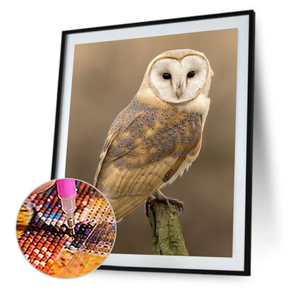 Owl - Full Round Drill Diamond Painting 30*40CM