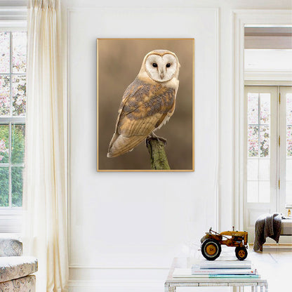 Owl - Full Round Drill Diamond Painting 30*40CM