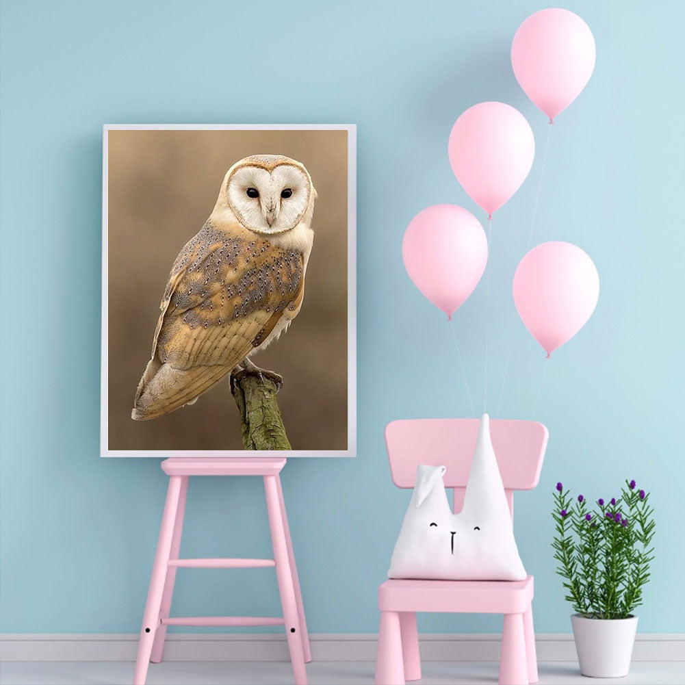 Owl - Full Round Drill Diamond Painting 30*40CM